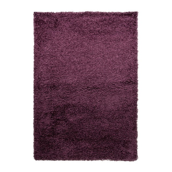 Fialový koberec Flair Rugs Cariboo Purple, 120 x 170 cm