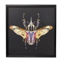 Raamitud maal Mardikas, 60 x 60 cm Art Beetle - Kare Design