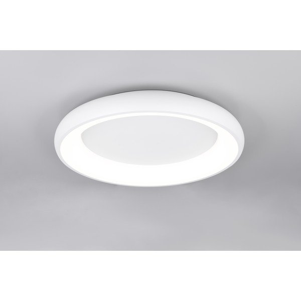 Valge LED dimmerdatav laevalgusti Cardona - Trio-image-2