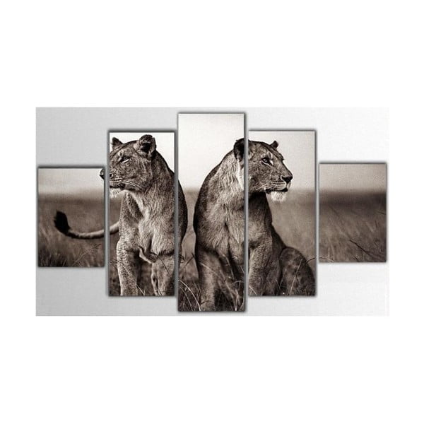 5dílný obraz Lions, 85x55 cm
