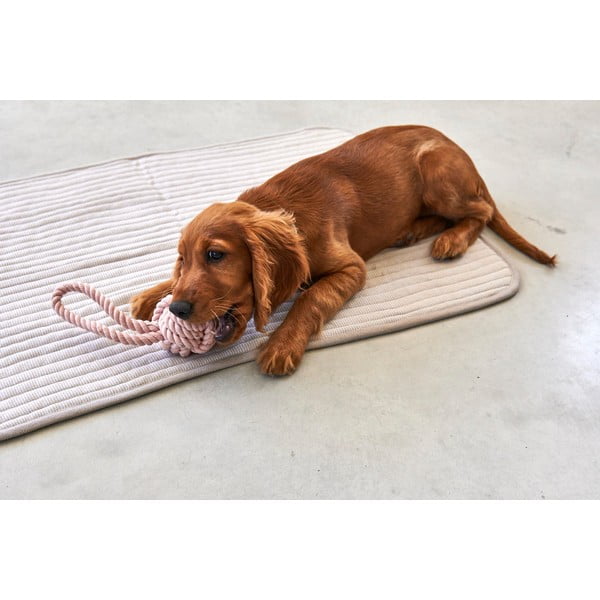 Hall puuvill tekk 80x60 cm Onda Greige S – MiaCara-image-3