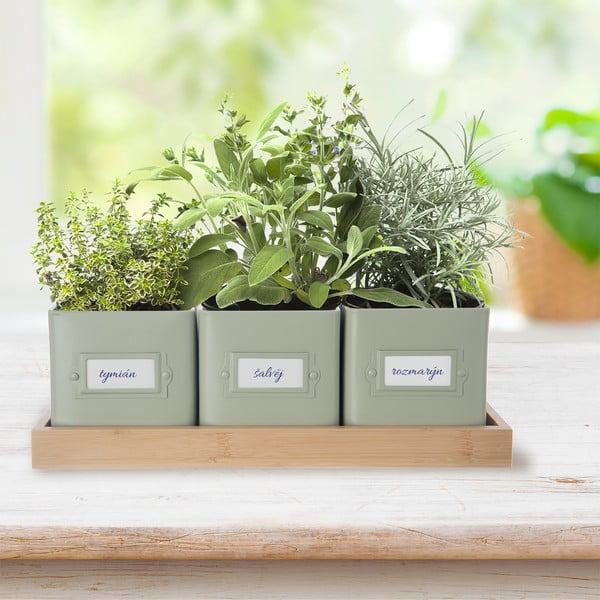 Metallist maitsetaimede potid, 3 tk komplektis Greenish - Orion-image-1