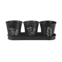 Metallist maitsetaimede potid, 3 tk komplektis ø 11 cm Black - Orion
