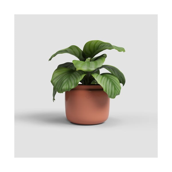 Keraamiline käsitöö lillepott ø 20 cm Astrea - Artevasi-image-1