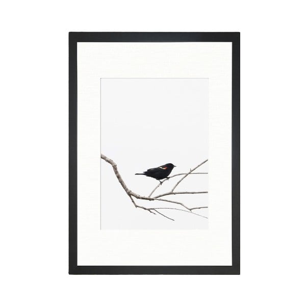 Plakat 24x29 cm Bird on the Branch - Tablo Center