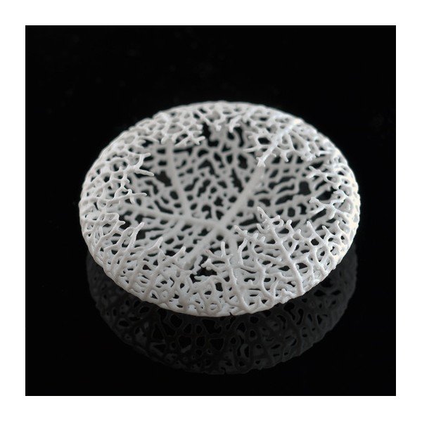 Brož Hyphae White-image-3