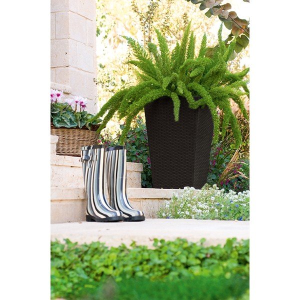 Plastmass lillepoti kate Rattan – Keter-image-1