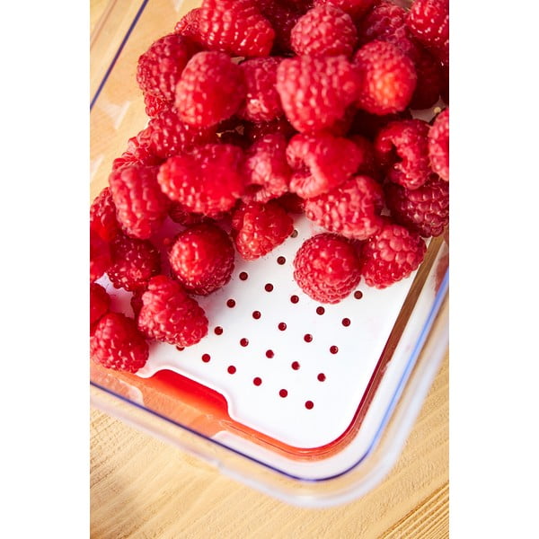 Plastikust külmiku korrastaja Cauma - Rotho-image-3