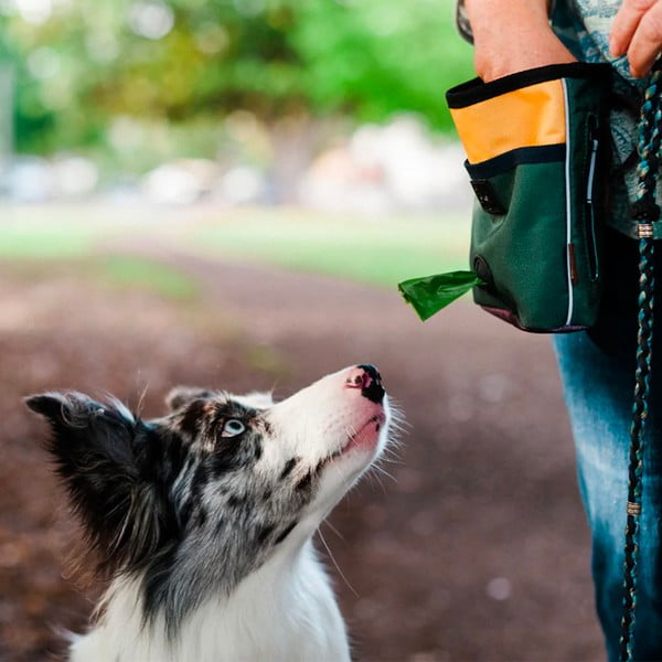 Maiuste kott Deluxe Moss – P.L.A.Y.-image-1