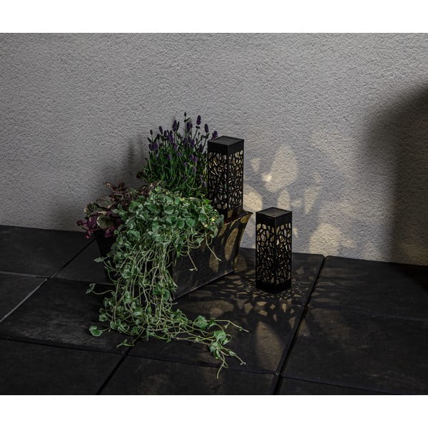 2 päikesepaneeli LED-tulede komplekt, kõrgus 18 cm Izola - Star Trading-image-4