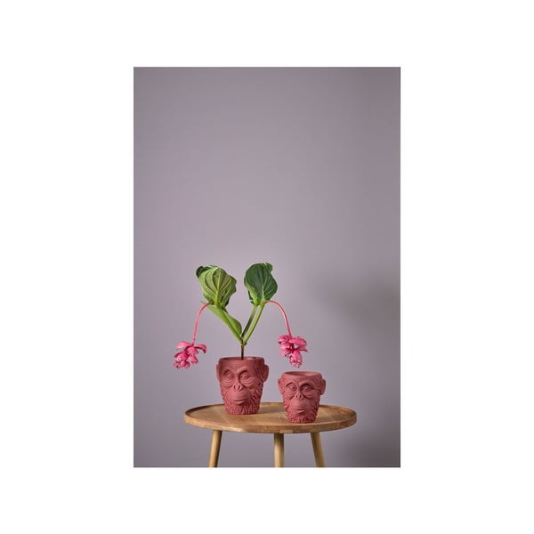 Betoon lillepoti kate  ø 19 cm Calbe – Villa Collection-image-3