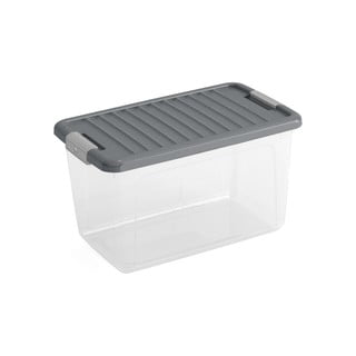 Kaanega hoiukast 49x30x28,5 cm W box M - KIS