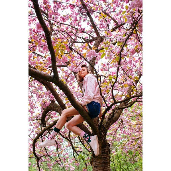 Ponožky Many Mornings Cherry Blossom, vel. 35–38-image-1