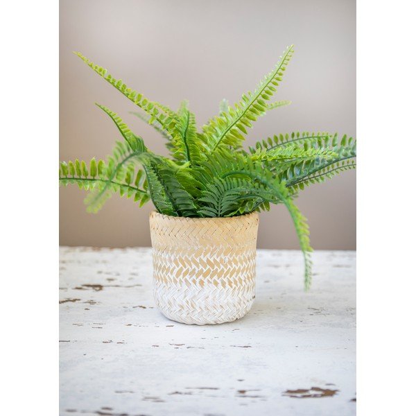 Lillepoti kate  mererohi ø 12 cm Ombré – Kitchen Craft-image-4