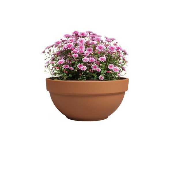 Terrakotta lillepott ø 20 cm Amalia Campana - Artevasi-image-2