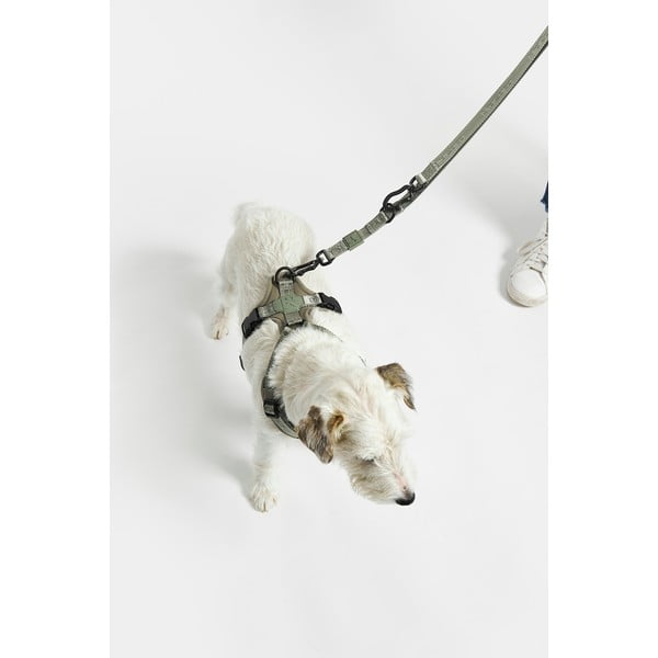 Beež rihm pikkus 200 cm Modena Greige 20 mm – MiaCara-image-4