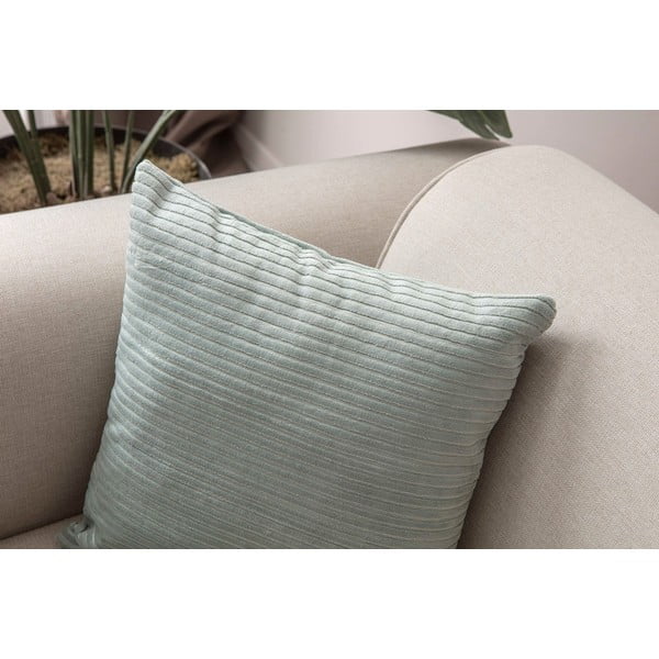 Velvetist padjakatted 2tk komplektis 43x43 cm - Mioli Decor-image-4