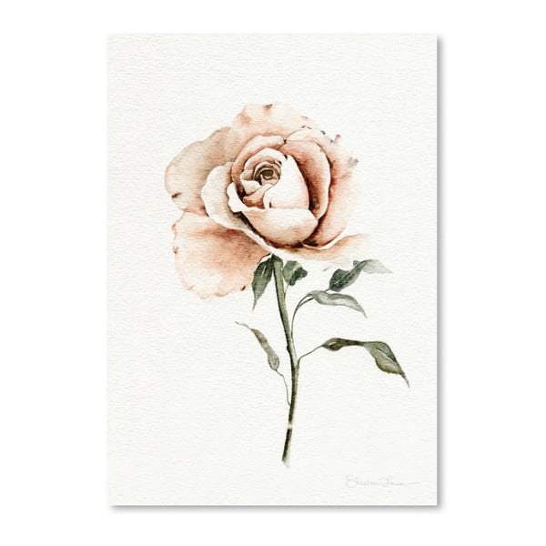 Plakát Americanflat Single Peach Rose by Shealeen Louise, 30 x 42 cm