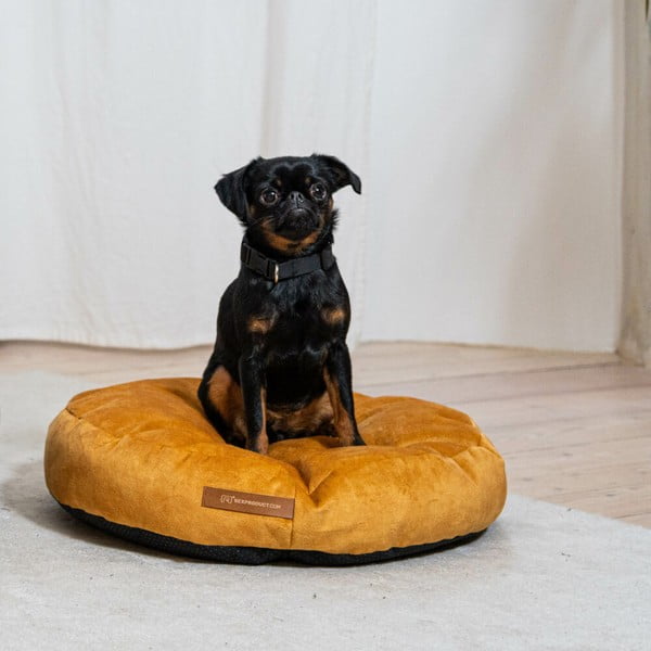 Kollane madrats ø 50 cm Coco S – Rexproduct-image-1