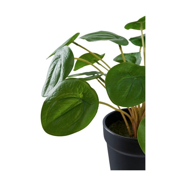 Kunsttaim (kõrgus 28 cm) Pelia - House Nordic-image-4