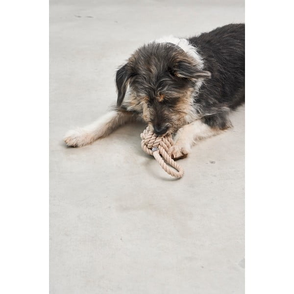 Koera mänguasi Nodo Greige - MiaCara-image-1