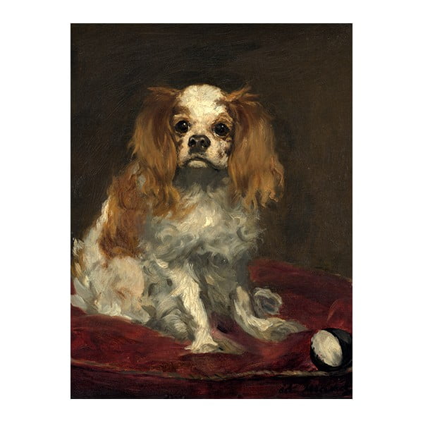 Maali reproduktsioon 30x40 cm Edouard Manet - A King Charles Spaniel - Fedkolor