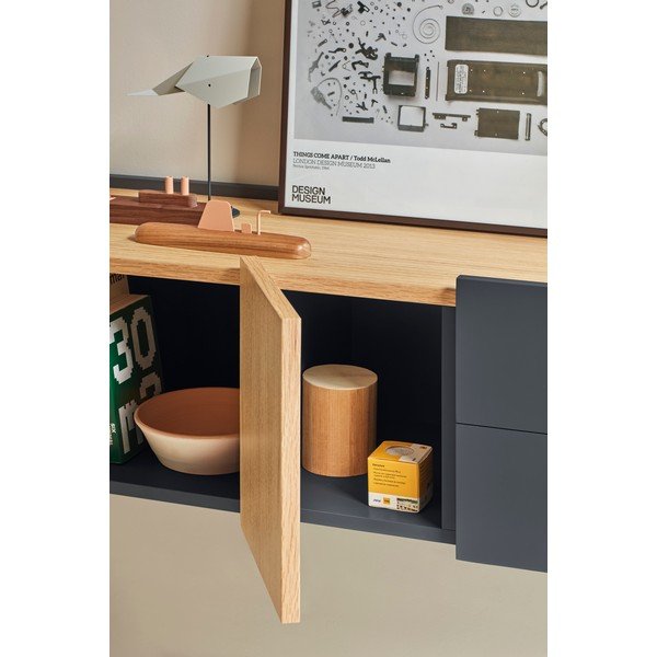 Antratsiitne-puiduvärvi tammedekooriga madal kummut 110x23 cm Otto - Teulat-image-1