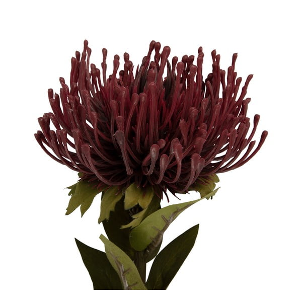 Kunstlill (kõrgus 60 cm) Protea - PT LIVING-image-1