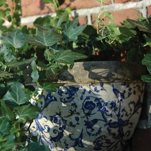 Keraamiline lillepott seinale – Esschert Design-image-2