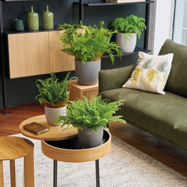 Keraamiline pott ø 24 cm Basel Stone - Big pots-image-1