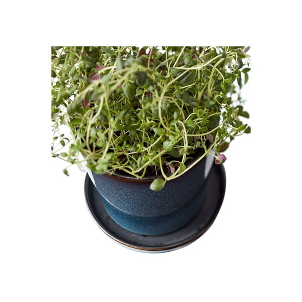 Kiviplaat lillepoti kate  ø 10 cm Dark Blue/Black – Bitz-image-2