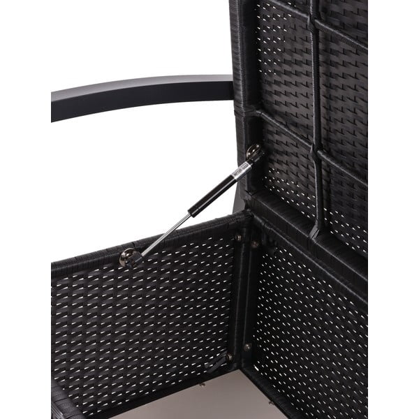 Must rotangist aiapink Ferrara - Garden Pleasure-image-3