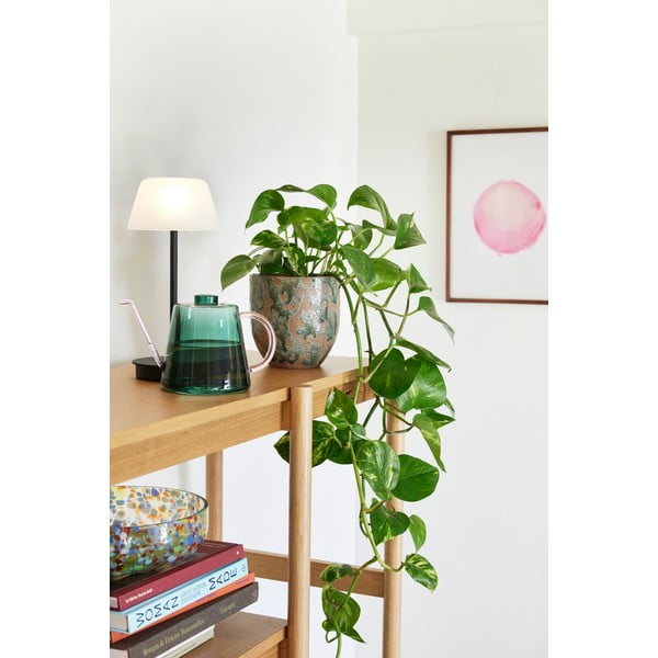 Keraamika lillepoti katted komplektis  2 tk ø 15 cm Normu – Hübsch-image-1