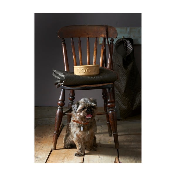 Keraamiline kauss koertele, ø 25 cm Pet Cane Dog - Mason Cash-image-2