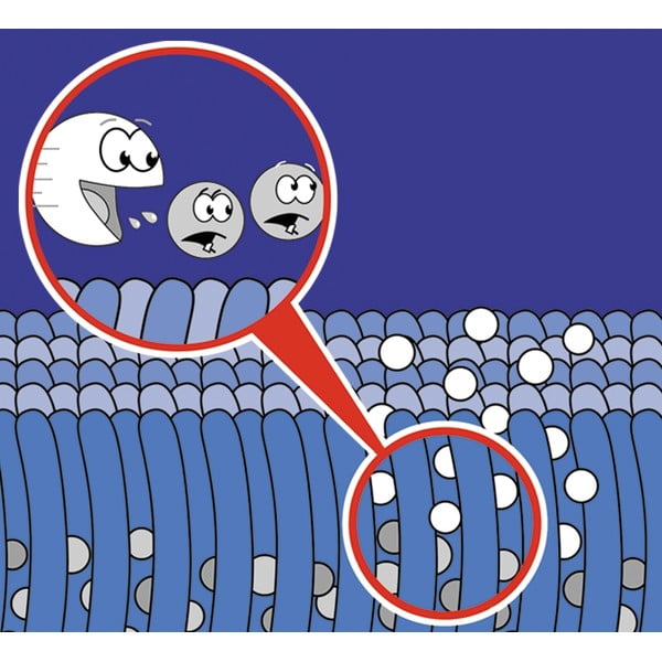 Vaipade puhastussprei 500 ml Nano - Maximex-image-1