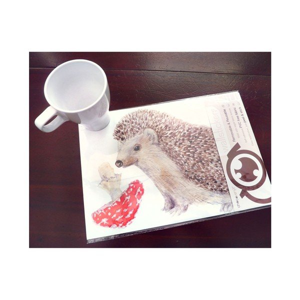 Znovu snímatelná samolepka Hedgehog, 30x21 cm-image-1