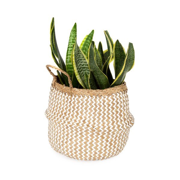 Kerge seagrassist korv , ⌀ 27 cm Zic Zac - Compactor-image-1