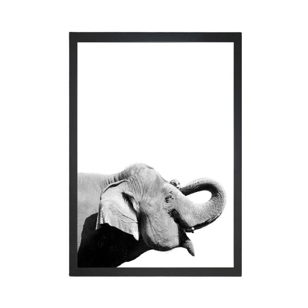Plakat 24x29 cm Damarion Elephant - Tablo Center