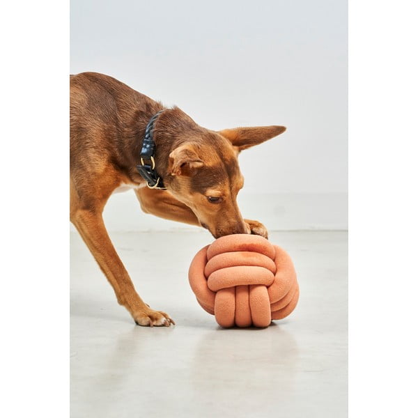 Koera mänguasi Tubo Dusty Orange - MiaCara-image-3