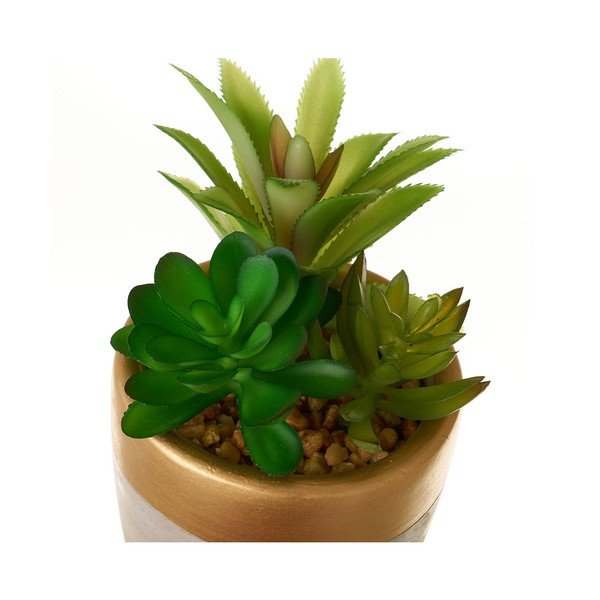 Kunsttaimed komplektis 4 tk (kõrgus 17 cm) Cactus – Casa Selección-image-1