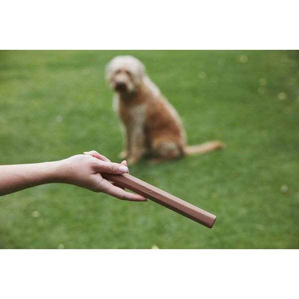 Mänguasi koerale Ramo Sandalwood - MiaCara-image-2