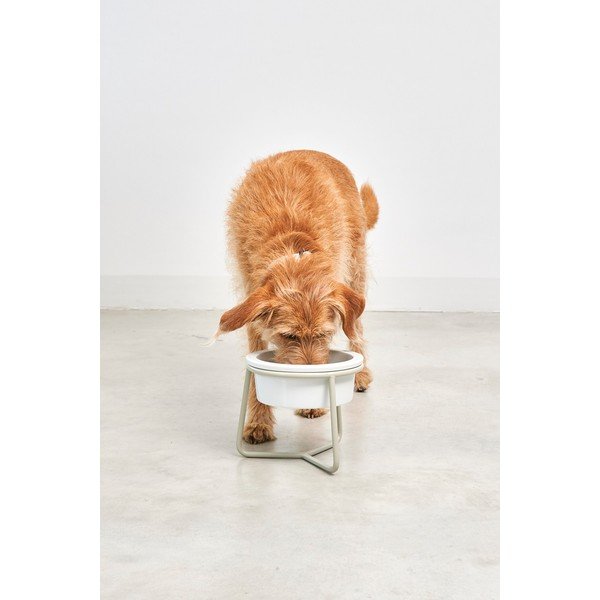 Portselanist koera kauss koos alusega ø 20 cm Pranzo Greige M - MiaCara-image-2