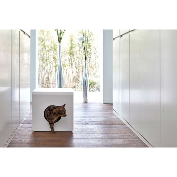 Puiduvärvi kassi liivakasti täitekomplekt 5 tk 34,5x53 cm Sito – MiaCara-image-1