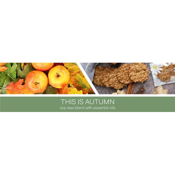 Lõhnastatud sojaküünal, põlemisaeg 35 h This Is Autumn - Goose Creek-image-1