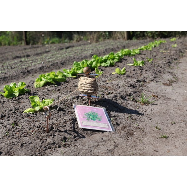 Vaskvärvi istutuskast taimede istutamiseks - Esschert Design-image-2