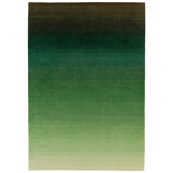 Roheline-hall vaip , 120 x 170 cm Ombre - Asiatic Carpets