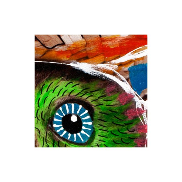 Hector Owl, 70x70 cm-image-1