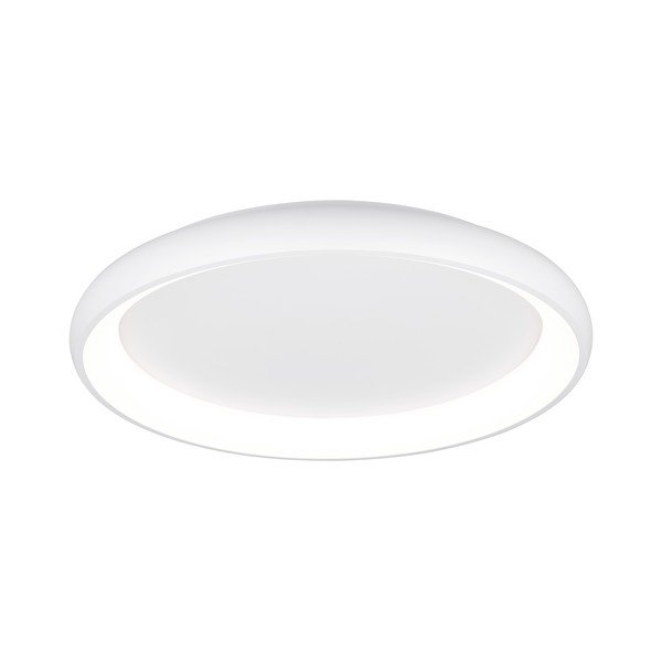 Valge LED dimmerdatav laevalgusti Cardona - Trio-image-1