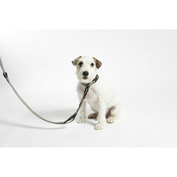 Beež rihm pikkus 200 cm Modena Greige 20 mm – MiaCara-image-3