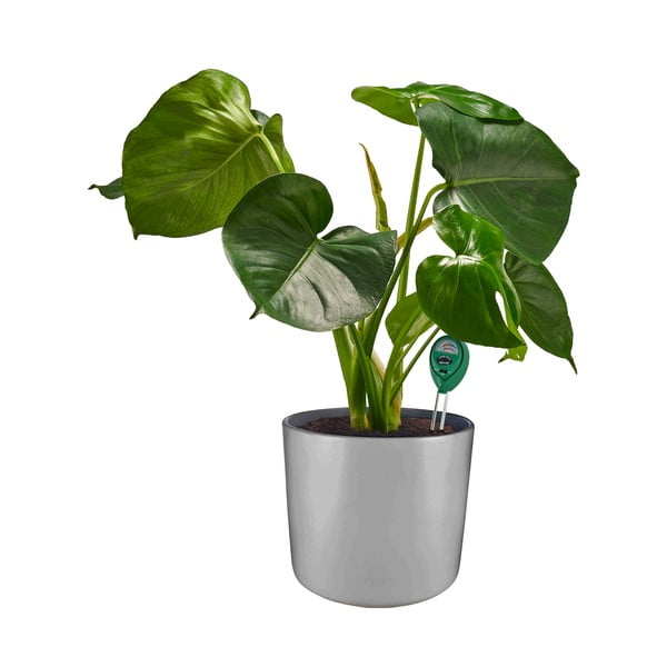 Mulla pH-tester – Garden Pleasure-image-1